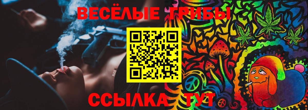 Псилоцибиновые грибы GOLDEN TEACHER  что такое   Вход с VPN  Чехов  Псилоцибиновые грибы мухоморы 